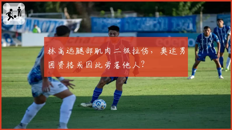 林高远腿部肌肉二级拉伤,奥运男团资格或因此旁落他人?