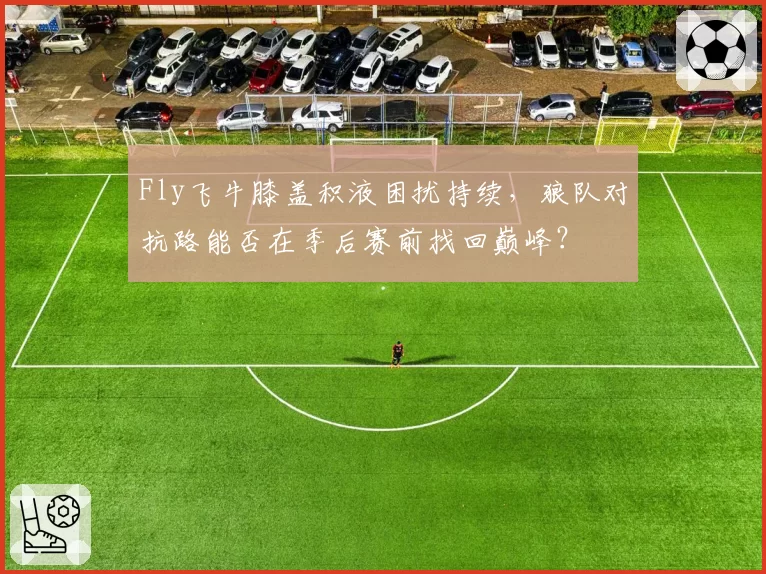 Fly飞牛膝盖积液困扰持续，狼队对抗路能否在季后赛前找回巅峰？