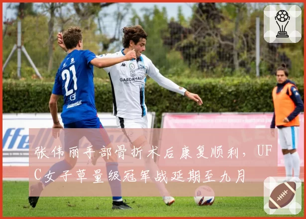 张伟丽手部骨折术后康复顺利，UFC女子草量级冠军战延期至九月