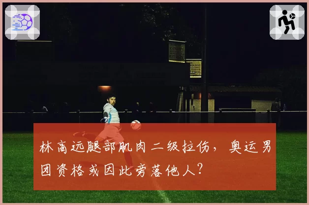 林高远腿部肌肉二级拉伤,奥运男团资格或因此旁落他人?