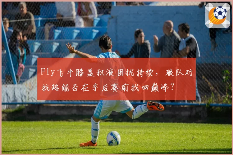 Fly飞牛膝盖积液困扰持续，狼队对抗路能否在季后赛前找回巅峰？