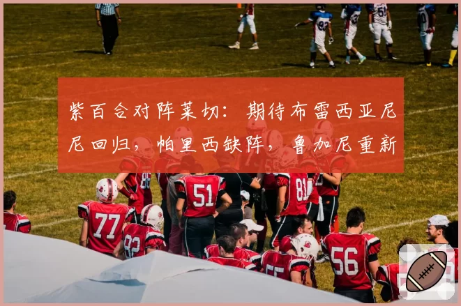 紫百合对阵莱切：期待布雷西亚尼尼回归，帕里西缺阵，鲁加尼重新受关注